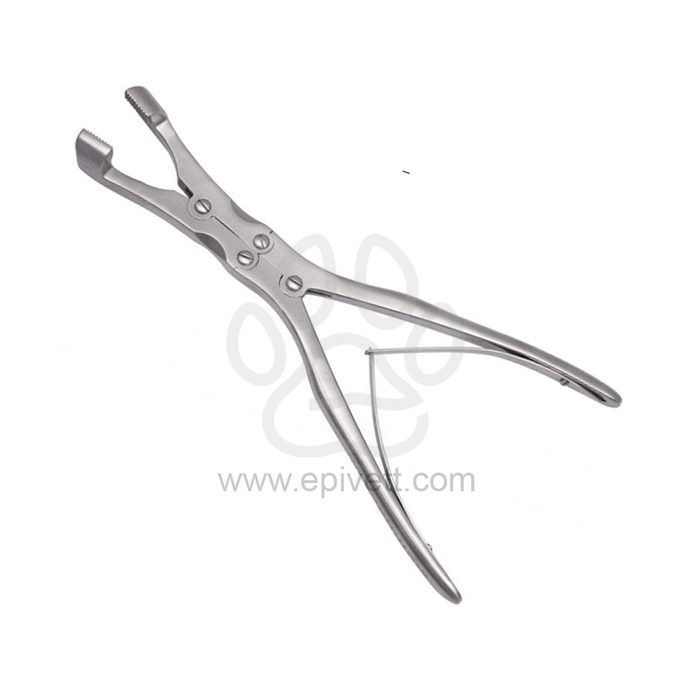 Equine Compound Serrated Jaw Molar Forceps, Equine and Veterinary