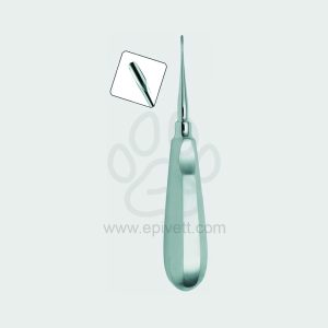 1 mm Winged Elevator Standard Handle Veterinary Dental Instrument Dentistry Tools - Image 1