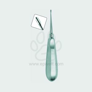 2 mm Winged Elevator Standard Handle Veterinary Dental Instrument Dentistry Tools - Image 1