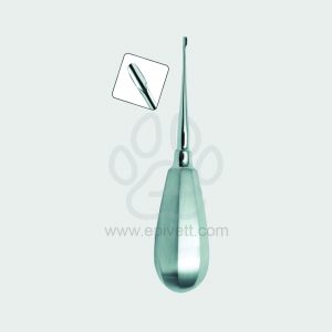 2 mm Stubby Handle Winged Elevator Veterinary Dental Instrument Dentistry Tools - Image 1