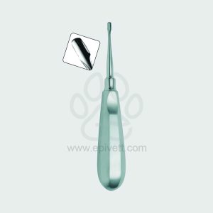 4 mm Winged Elevator Standard Handle Veterinary Dental Instrument Dentistry Tools - Image 1