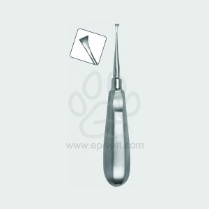 Periosteal Elevator Standard Handle Veterinary Dental Instrument Dentistry Tools - Image 1