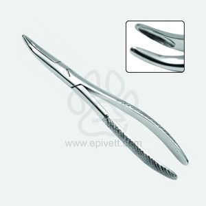 Dental-Forcep-fragment-Mini-1.jpg