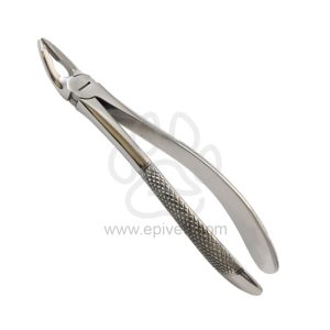 Handy Extracting Forceps Curved Small, Equine and Veterinary Dental Instruments, Dentistry Tools - Image 1