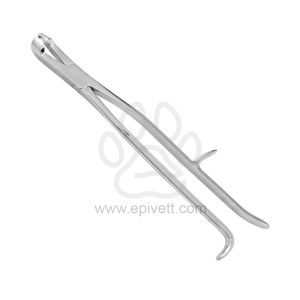 Reynolds Cap Forceps Upper Jaw, Equine and Veterinary Dental Instruments, Dentistry Tools - Image 1