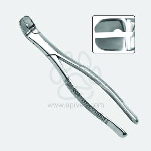 Upper and Lower Teeth Separating Forceps Veterinary Dental Instrument Dentistry Tools - Image 1