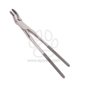 Equine Dental Forceps Duck Bill, Equine and Veterinary Dental Instruments, Dentistry Tools - Image 1