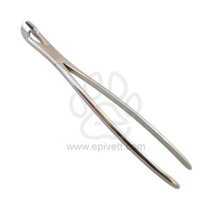 Equine Dental Forceps Hewson Style, Equine and Veterinary Dental Instruments, Dentistry Tools - Image 1