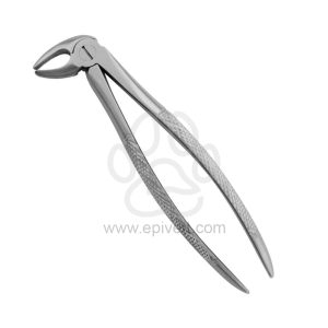 Universal Handy Extracting Forceps Premolar Turned Head, Equine and Veterinary Dental Instruments, Dentistry Tools - Image 1