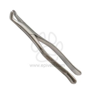 Universal Handy Extracting Forceps Right Angled, Equine and Veterinary Dental Instruments, Dentistry Tools - Image 1