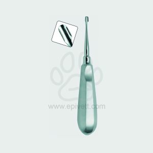 6 mm Winged Elevator Standard Handle Veterinary Dental Instrument Dentistry Tools - Image 1