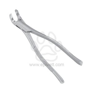 Wolf Incisor Spreader, Equine and Veterinary Dental Instruments, Dentistry Tools - Image 1