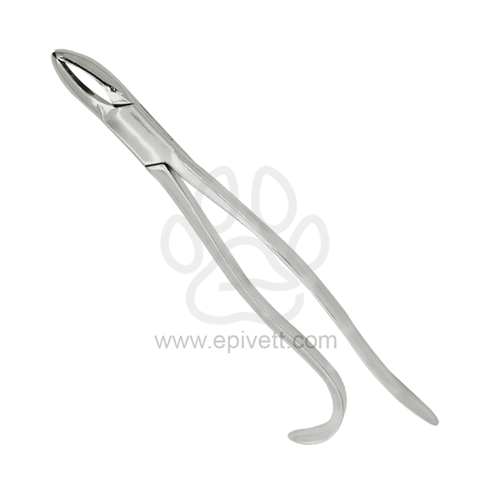Wolf-Tooth-Forcep-Curved-handle-EPd.124.01-11-inch.jpg