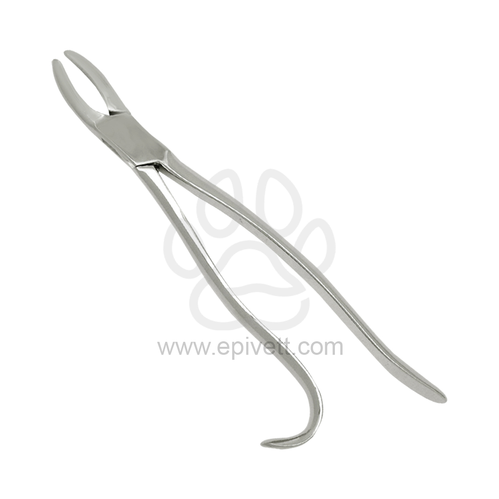 Wolf-Tooth-Forcep-Curved-handle-EPd.124.02-11-inch-1.jpg