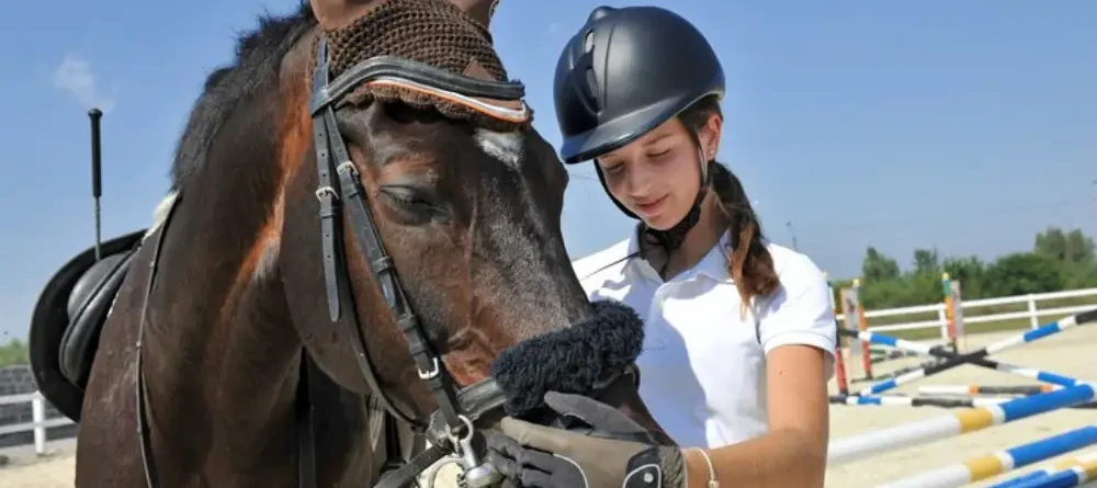 horse riding tools