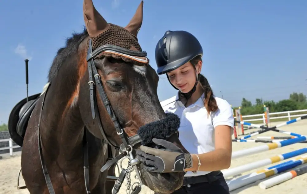 horse riding tools