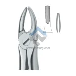 dental extraction forcep 11-002-00