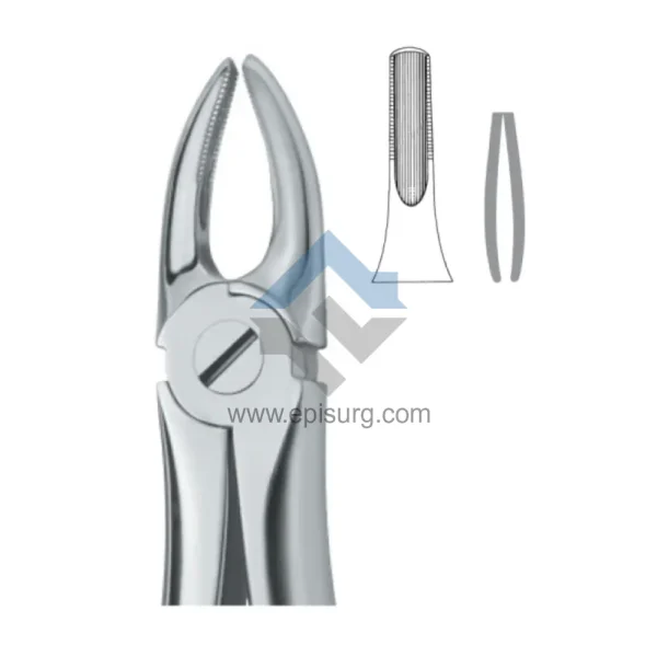 dental extraction forcep 11-002-00