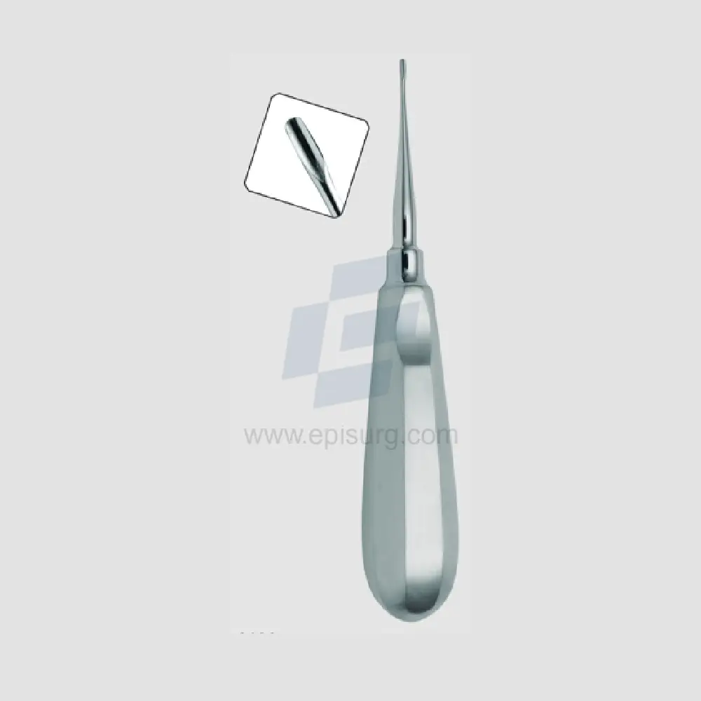 1 mm Winged Elevator Standard Handle Veterinary Dental Instrument Dentistry Tools