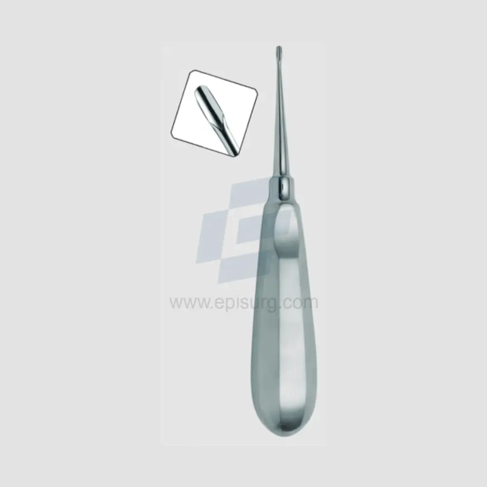 2 mm Winged Elevator Standard Handle Veterinary Dental Instrument Dentistry Tools