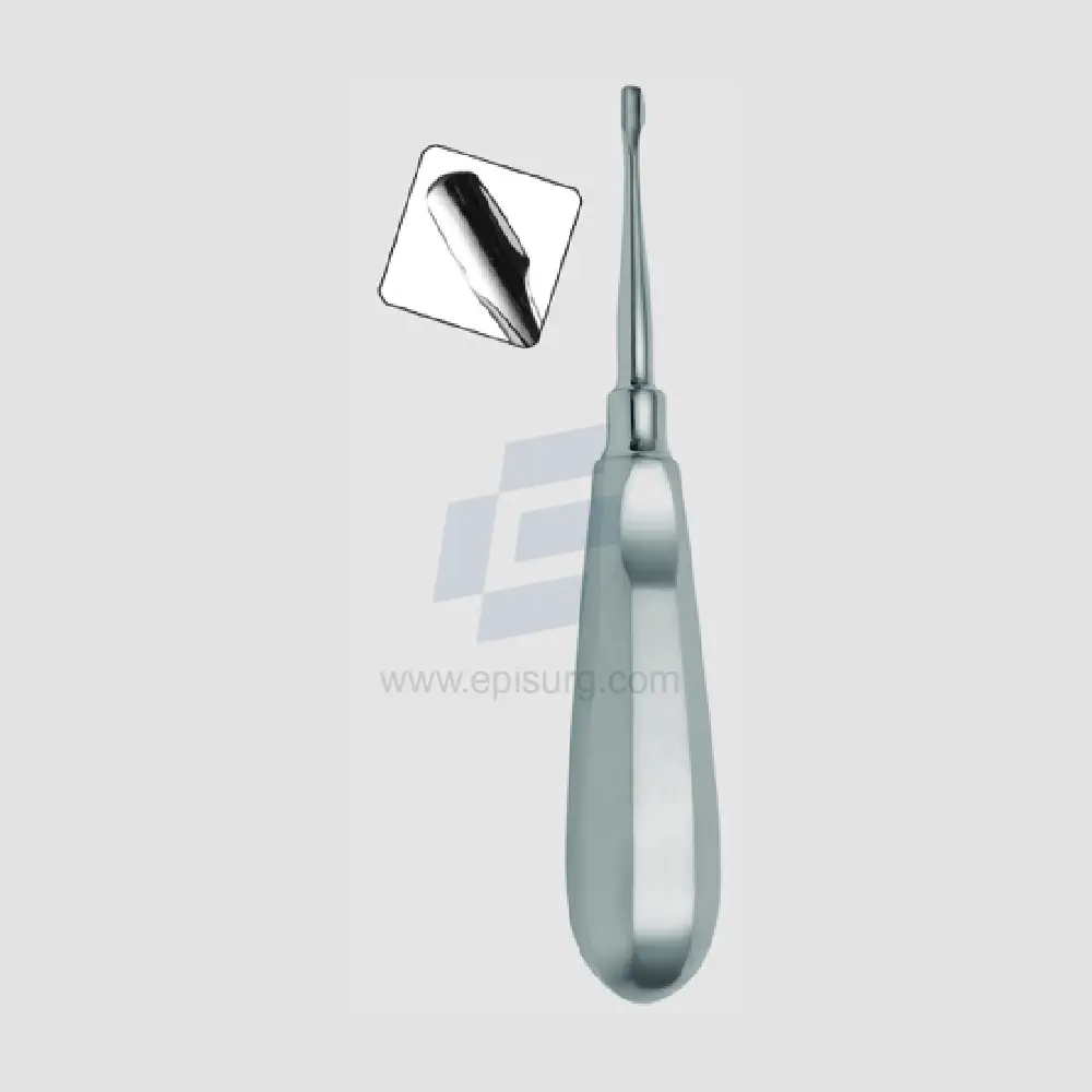 4 mm Winged Elevator Standard Handle Veterinary Dental Instrument Dentistry Tools