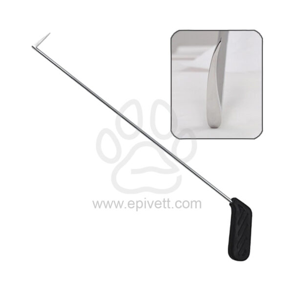 EPSURG-Equine-Periodontal-Elevator-Pick-EPD-94.04.jpg