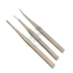 Equine Dental Extraction