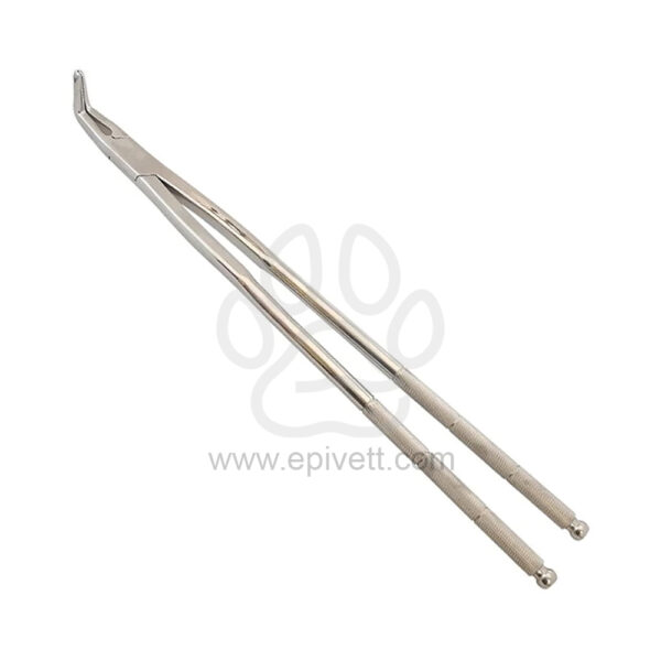 Equine-Dental-Forcep-Long-Nose-EPD.133.jpg
