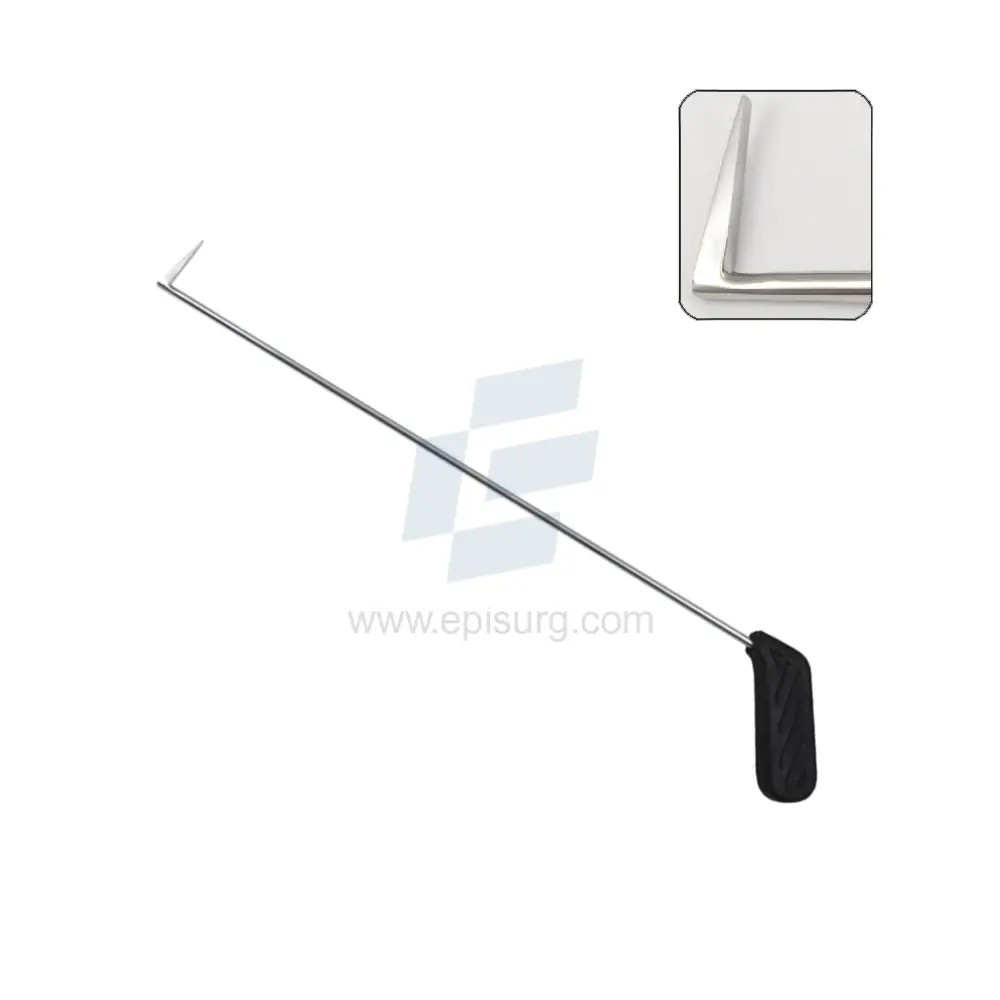 Equine Periodontal Elevator,