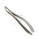 Handy Extracting Forceps Curved Small,
