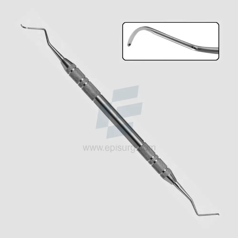 Kaplan Dog Scaler Dual Point Veterinary Dental Instrument Dentistry Tools
