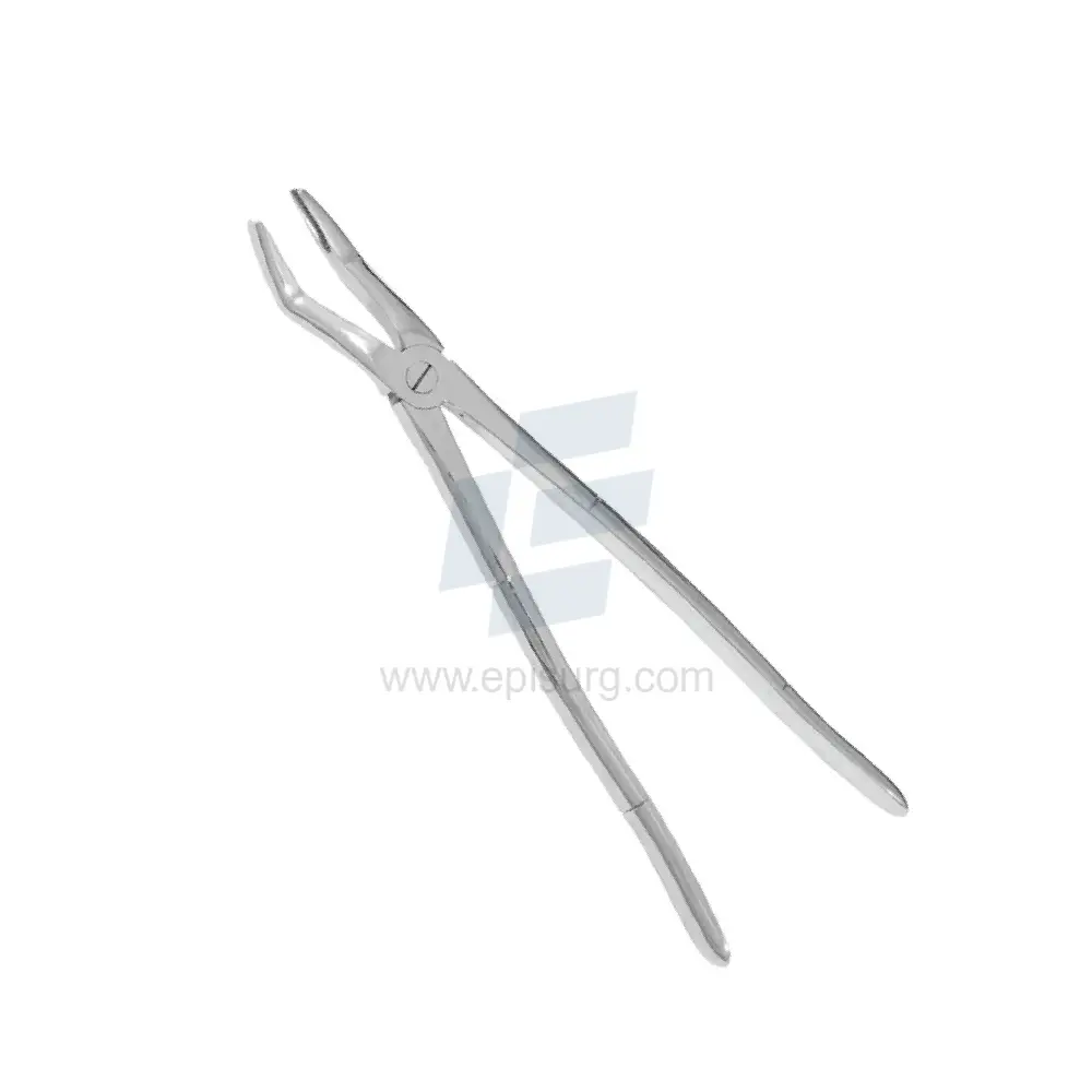 Large Wolf Forceps,