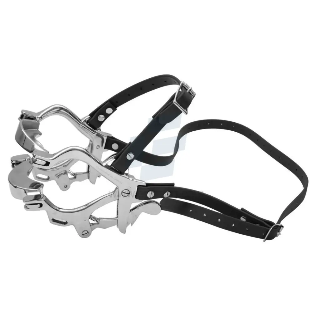 Pony Miniature Horse Mouth Gag