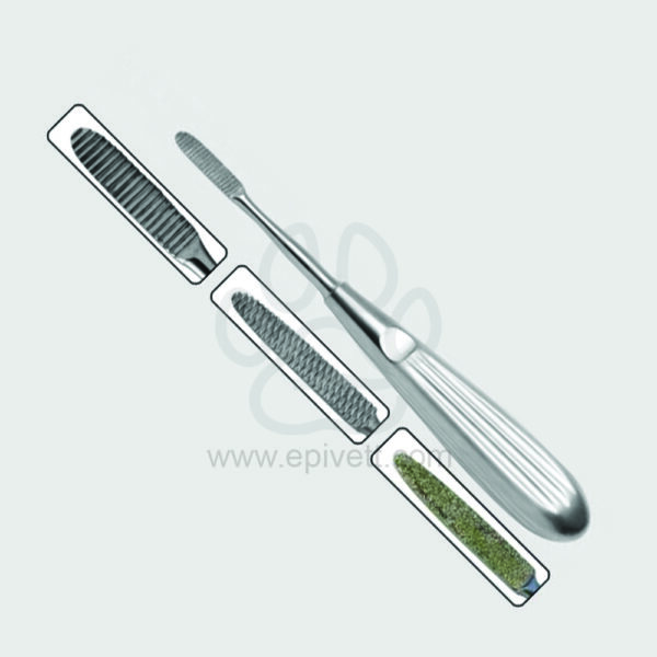 Rodent-Teeth-Rasp-EPD.57-1.jpg