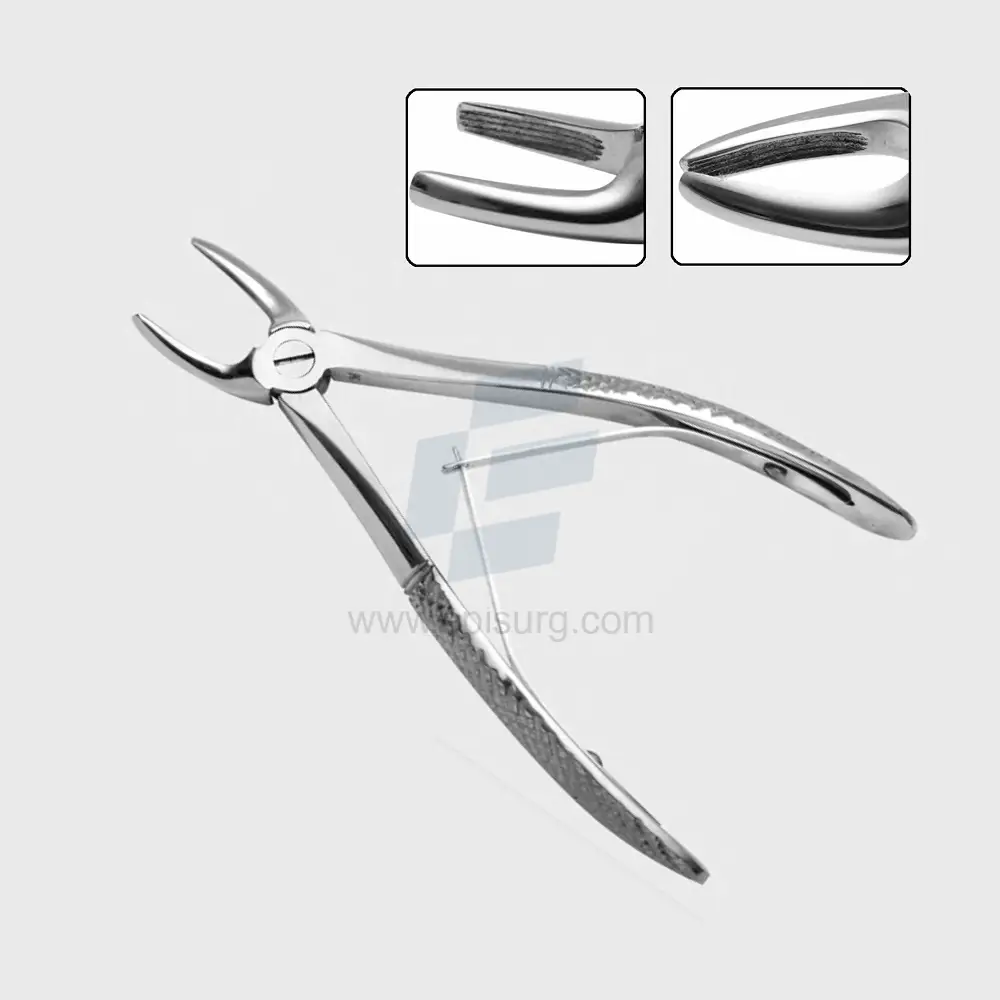Small Animal Dental Forceps Straight & Angled