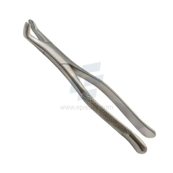 Universal Handy Extracting Forceps Right Angled,
