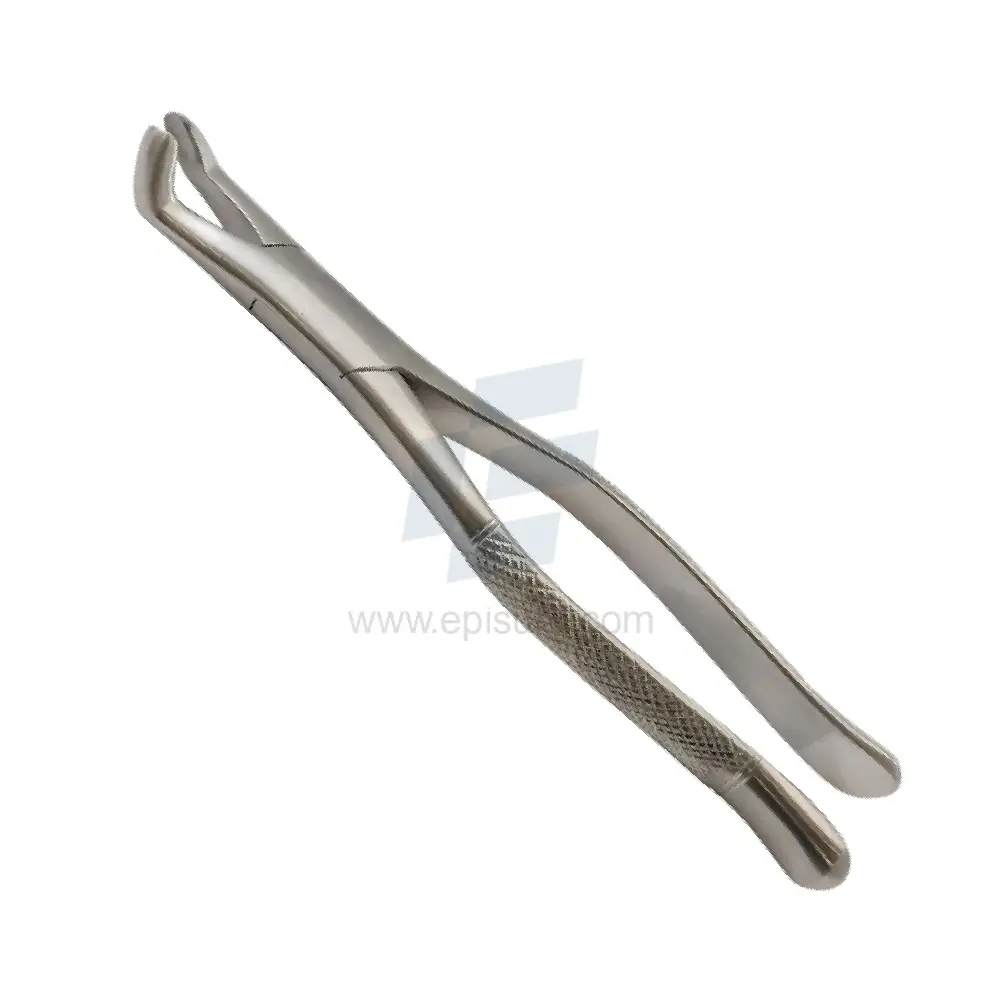Universal Handy Extracting Forceps Right Angled,