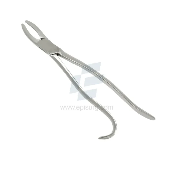 Wolf Tooth Forceps Curved Handle