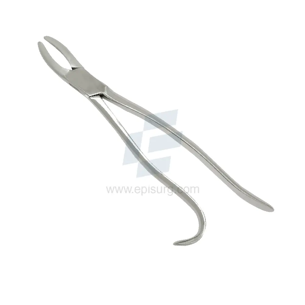 Wolf Tooth Forceps Curved Handle