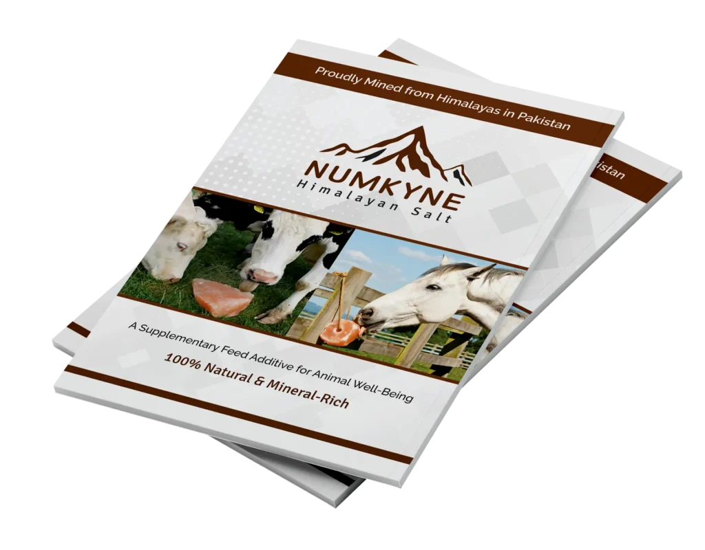 numkyne himalayan salt book