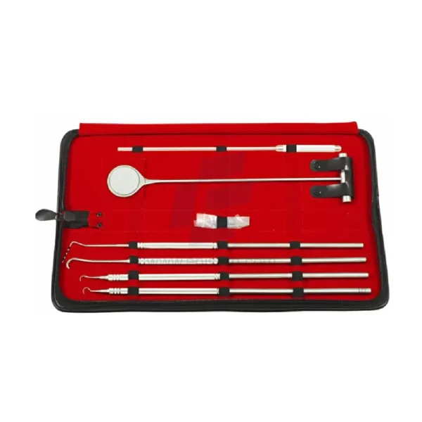 Equine Periodontal Instruments Set