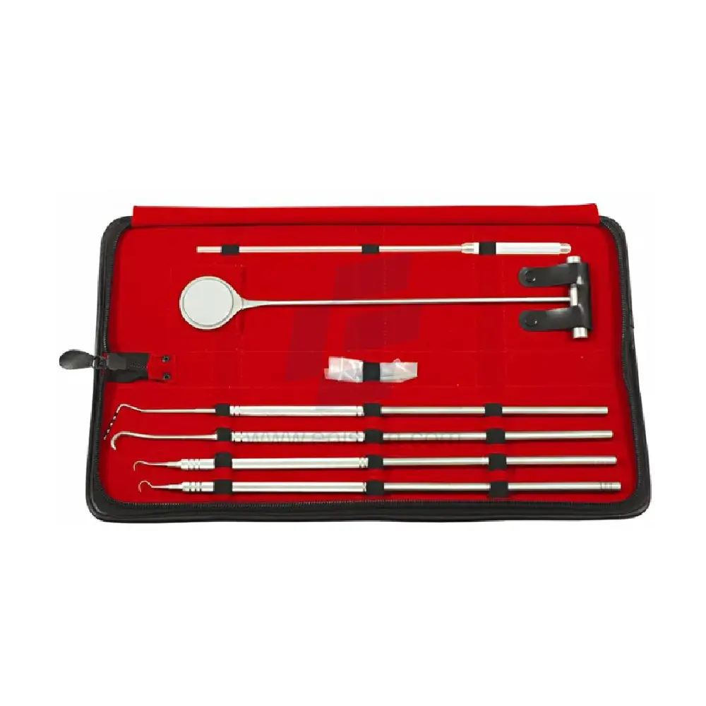 Equine Periodontal Instruments Set