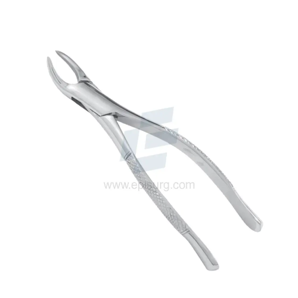 Incisor Curved Head